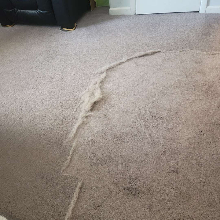 Pet Hair Remover Starter Kit - Mini, Pro & Rake