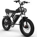 Ridstar Electric Bike for Adults 1500w 33mph,48v 20ah Electric Bicycle,20″ Fat Tire,7-Speed Mountain Bike Ul2849